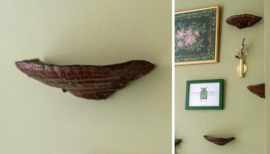 DIY Mushroom Wall Decor: Floating Bracket Fungi Shelves