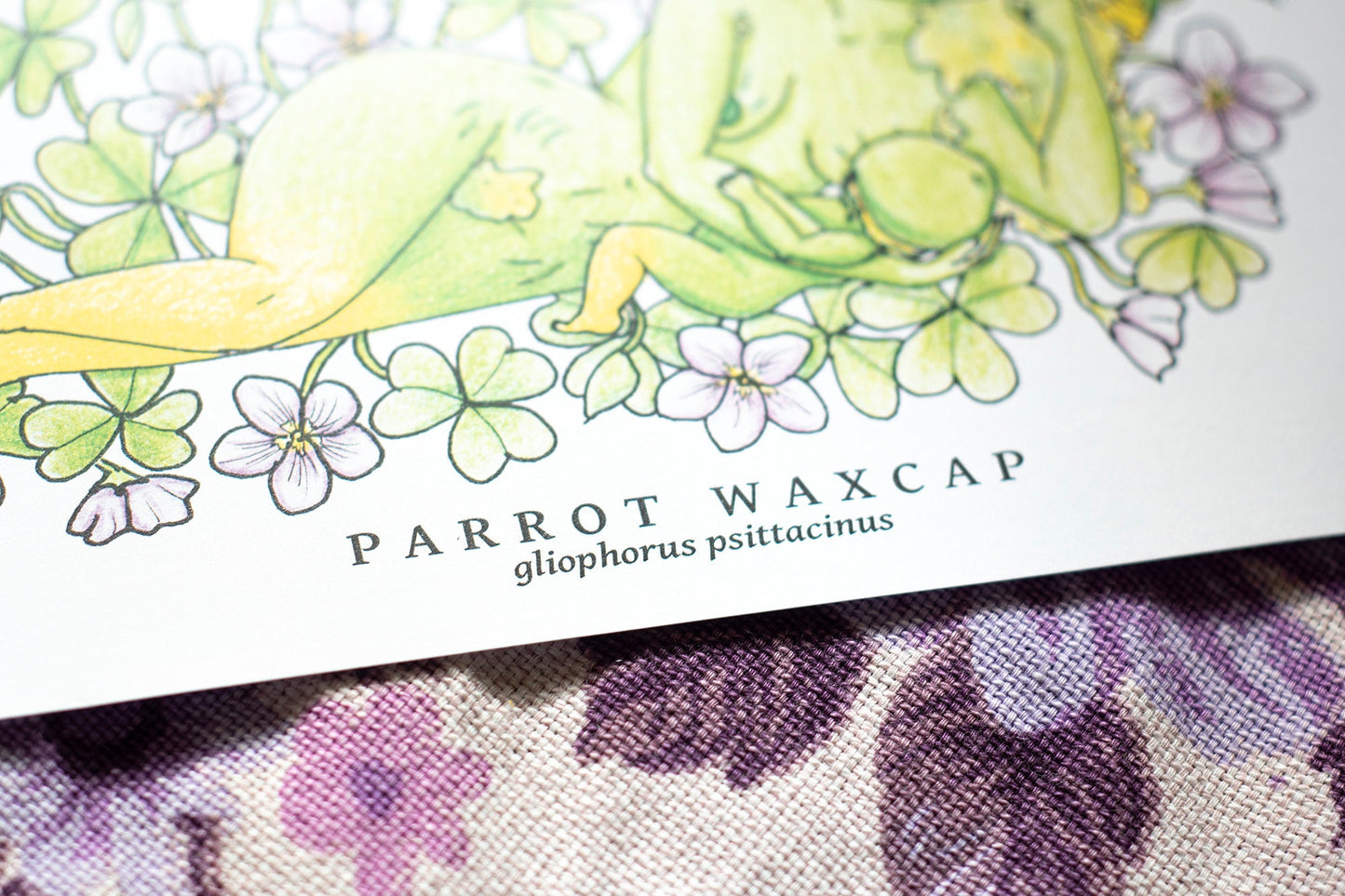 Parrot Waxcap