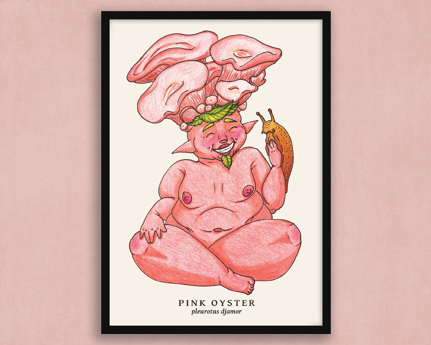 Pink Oyster